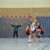wD15032026068