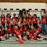 Minis 2026